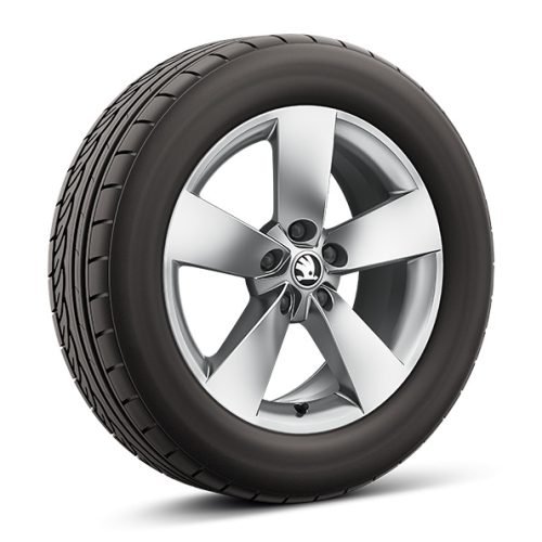 Skoda Winter wielensets